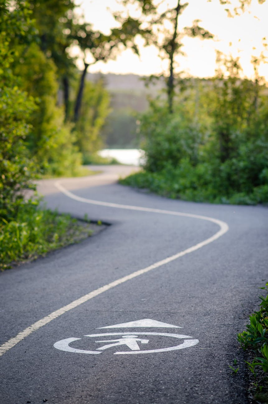 pexels-photo-30119945-1 - Settlement Online Pre-Arrival (SOPA) serene pathway in calgary forest park